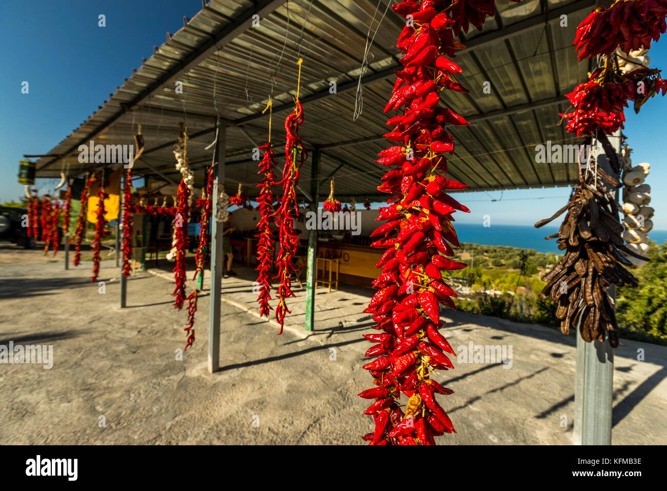 Rote Chilis trocknen in der Sonne und zum Verkauf an die Landwirte am Straßenrand stand. Vieste und den Gargano Nationalpark. Italien. Stockfoto