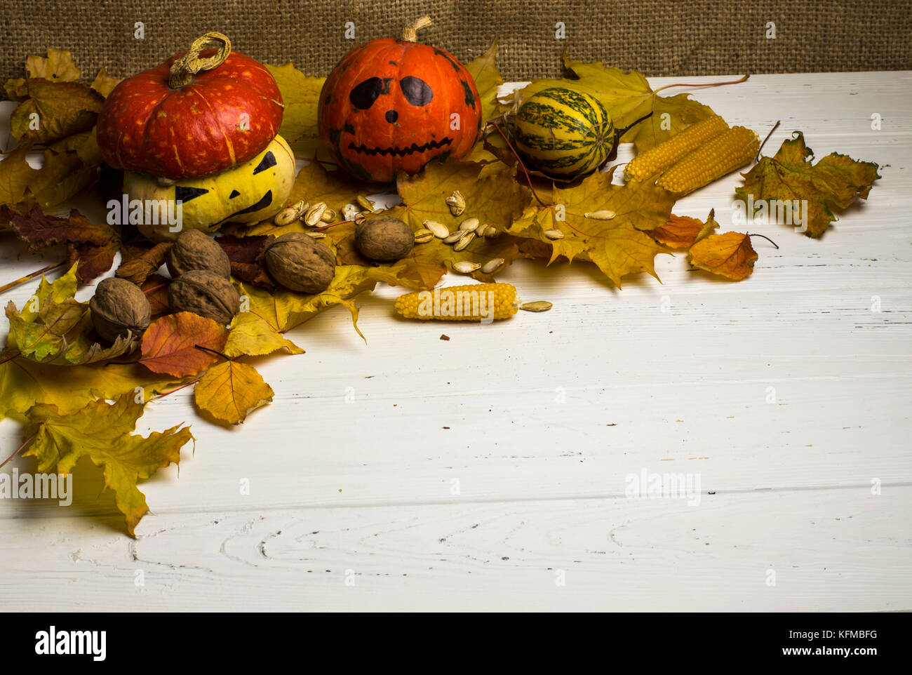 Halloween Kürbisse, Nüsse und Getreide Herbst Blätter Stockfoto