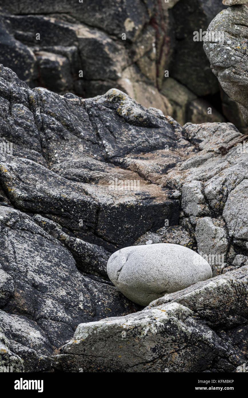 Ein großer glatter Fels, der durch Wellenbewegung auf einem Felsvorsprung bei Porth Nanven in Cornwall abgelagert wird. Stockfoto