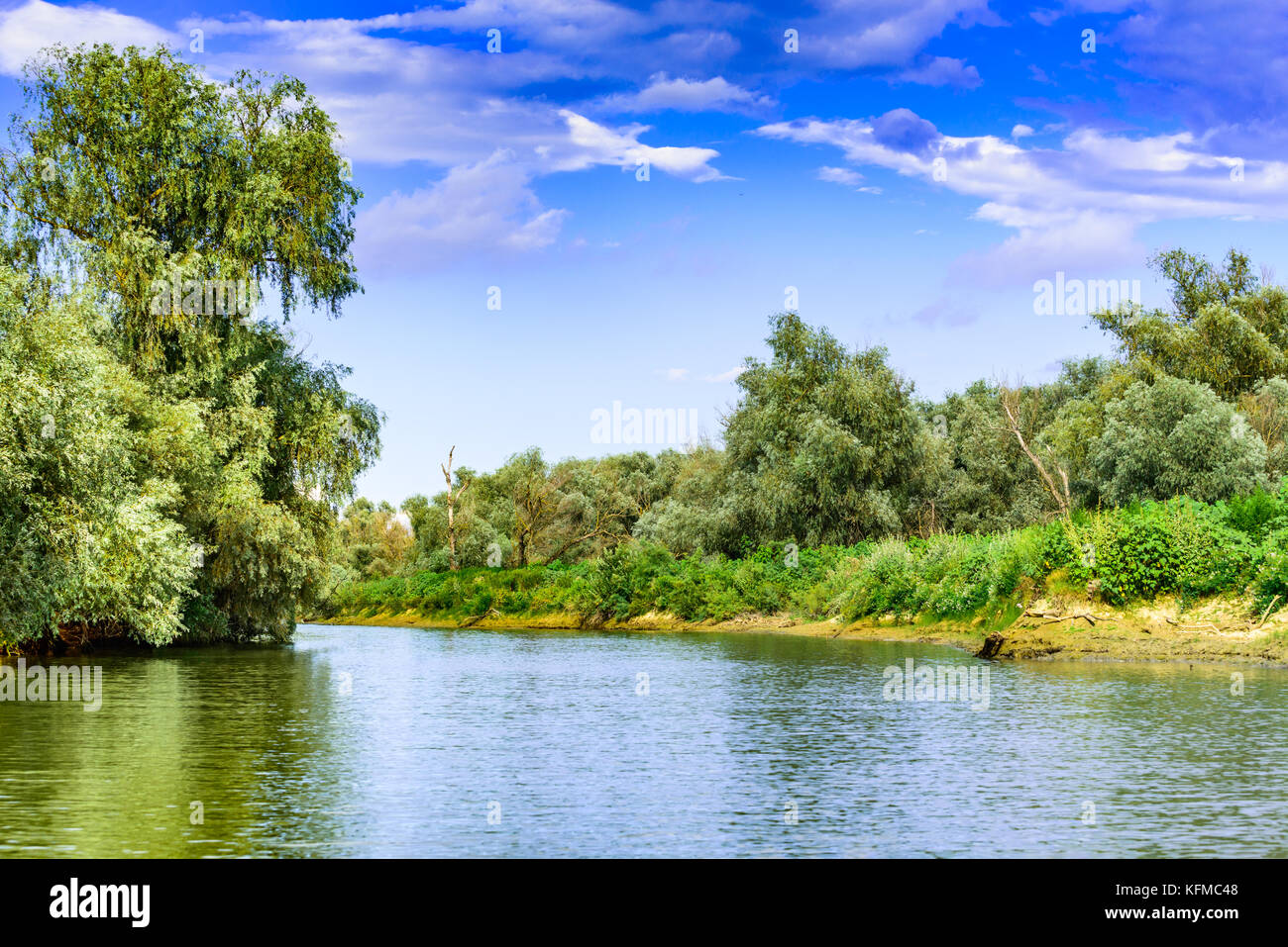 Donaudelta, Rumänien, das zweitgrößte Flussdelta Europas. Stockfoto