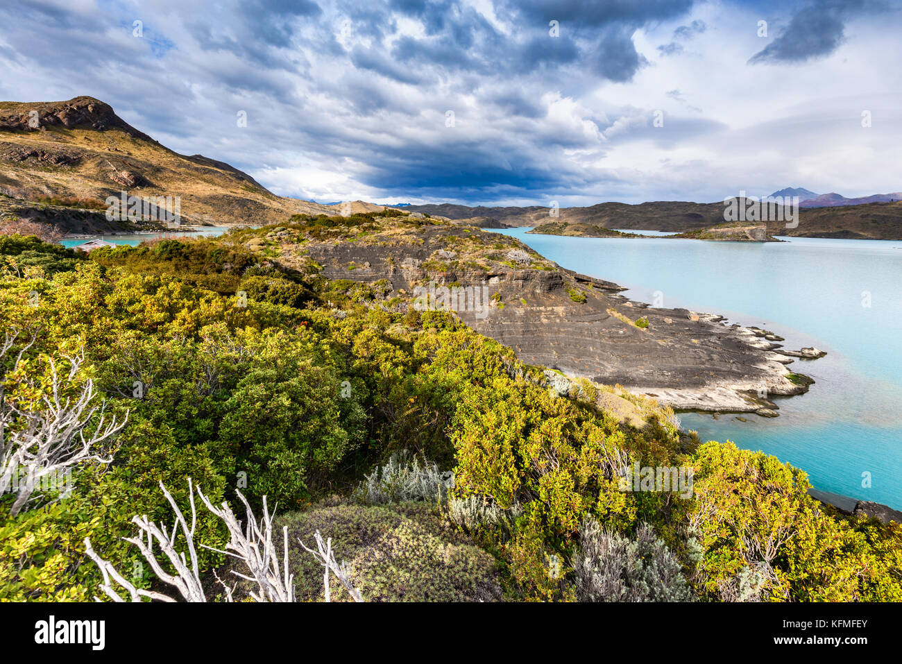 Torres del Paine, Chile. Herbst austral Landschaft in Patagonien mit Lago Pehoe in Südamerika. Stockfoto