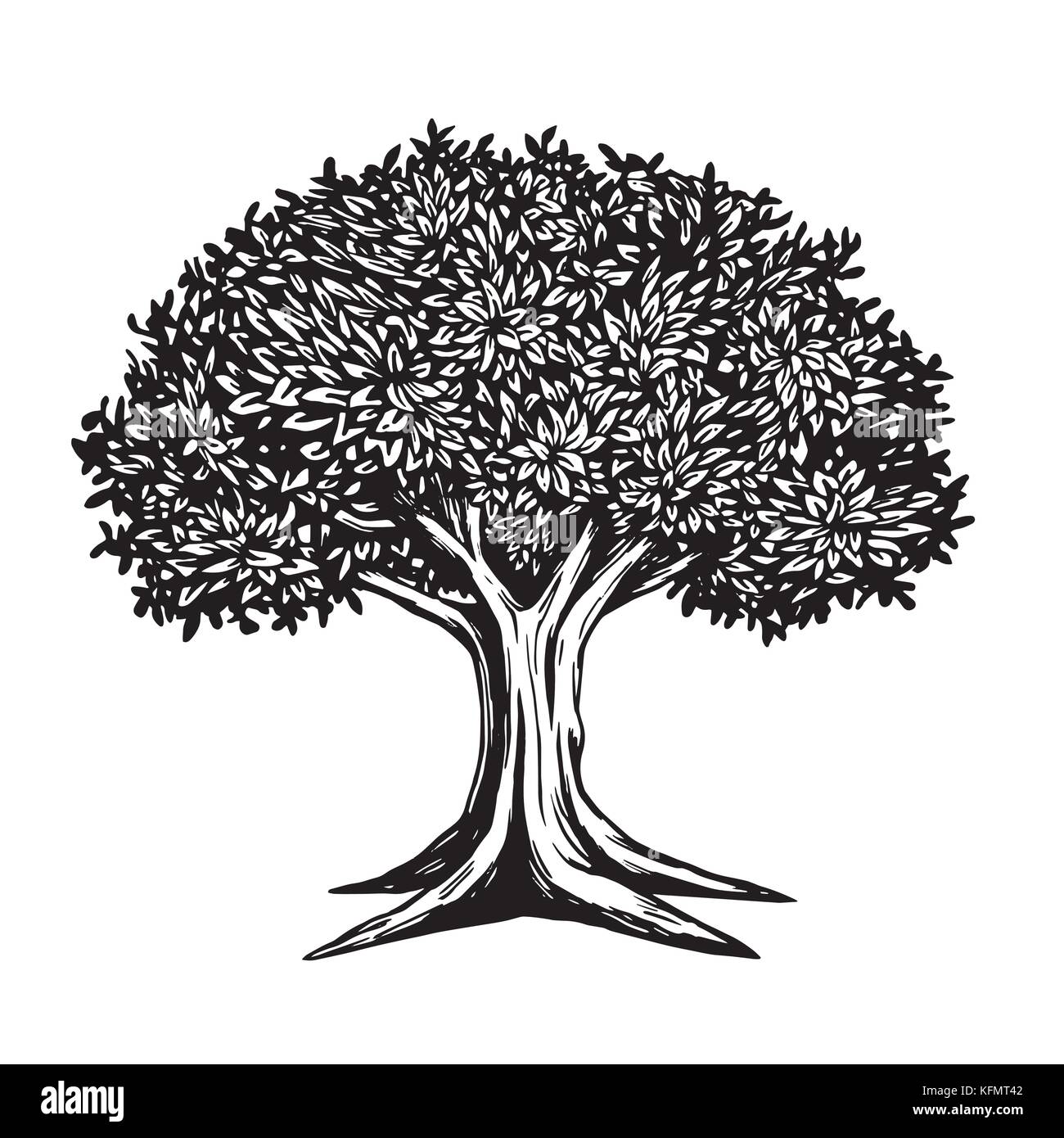 Baum Vektor Illustration Zeichnung Logo Vorlage Stock Vektorgrafik Alamy