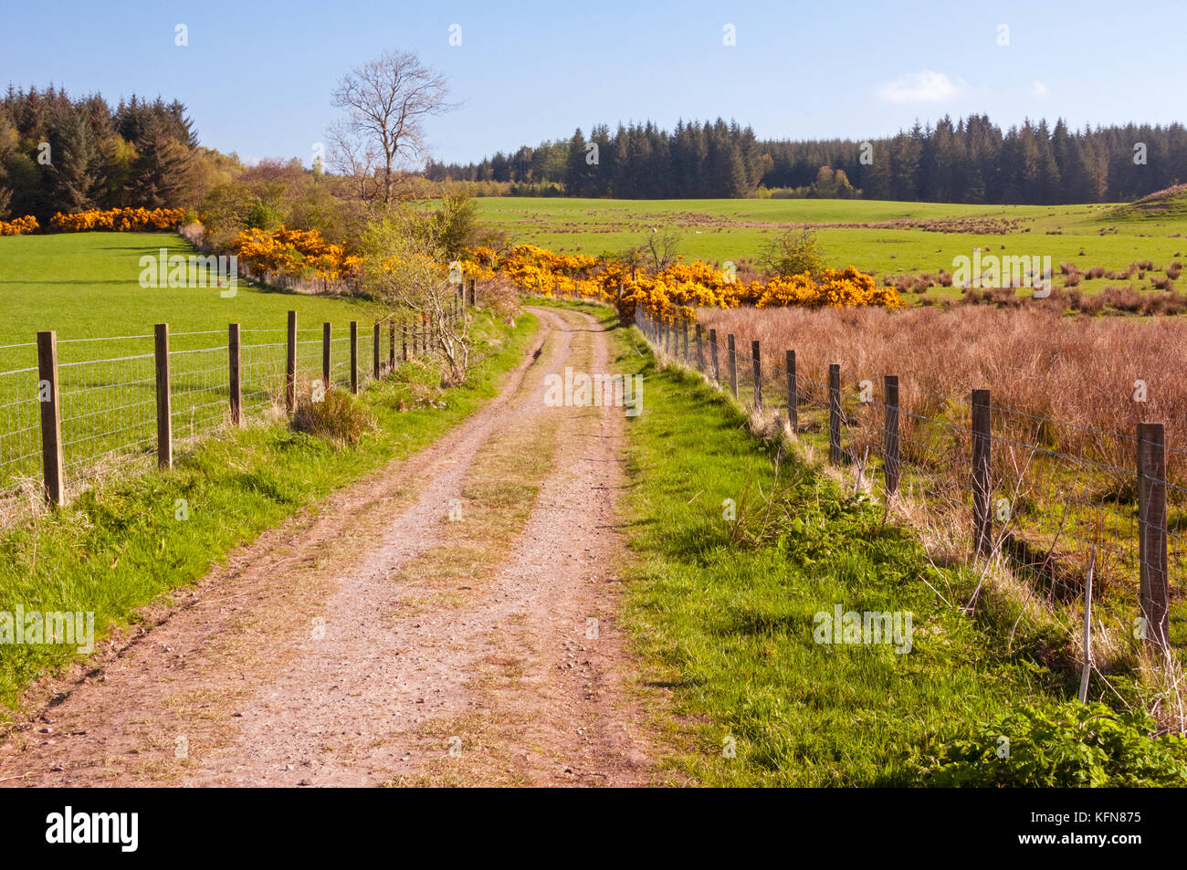 West Highland Way Trail etwas außerhalb von Drymen, Schottland Stockfoto