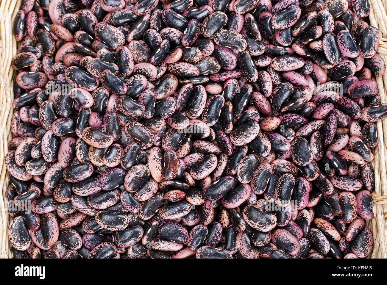 Phaseolus coccineus, getrocknet runner bean Seeds in einem Korb. Stockfoto