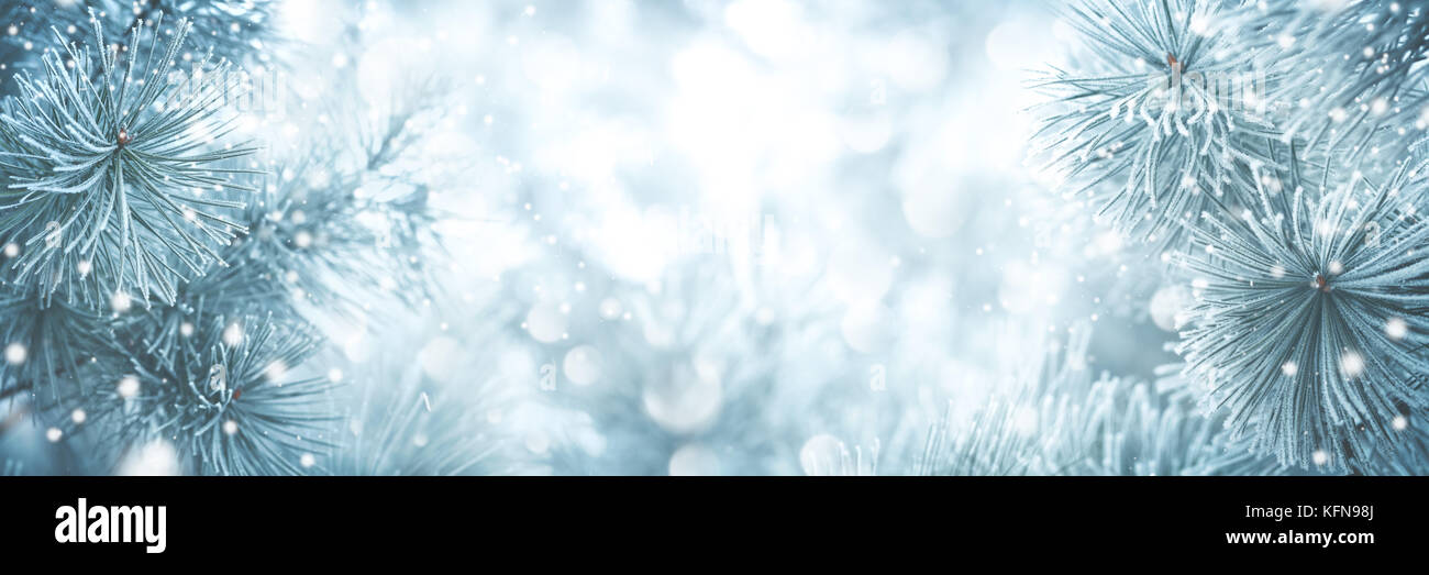 Tanne Zweig Hintergrund Weihnachten Hintergrund Stockfoto