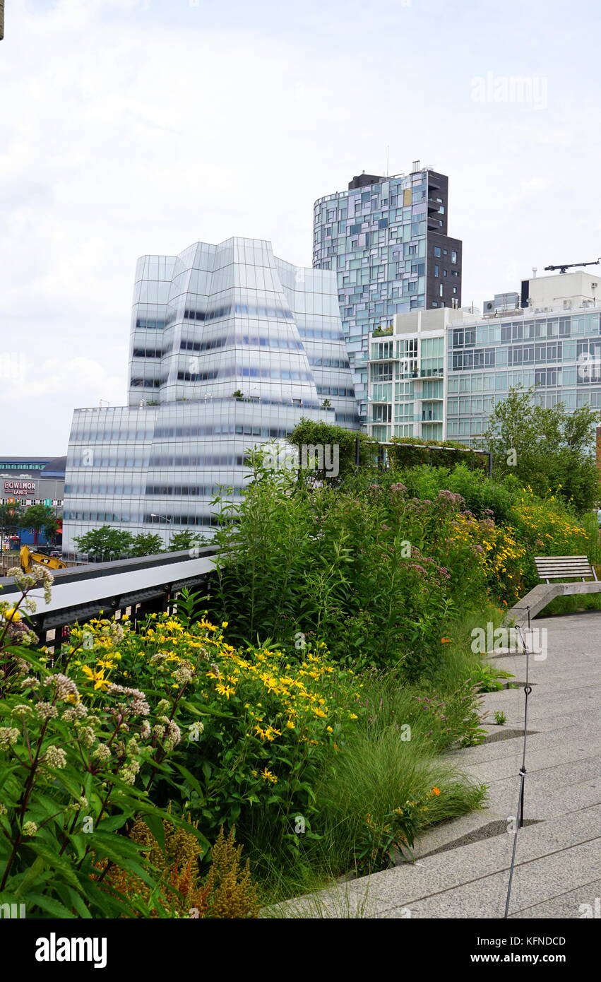 Landschaft an der Highline mit der Kulisse der New York City Wolkenkratzer, NYC, NY, USA Stockfoto