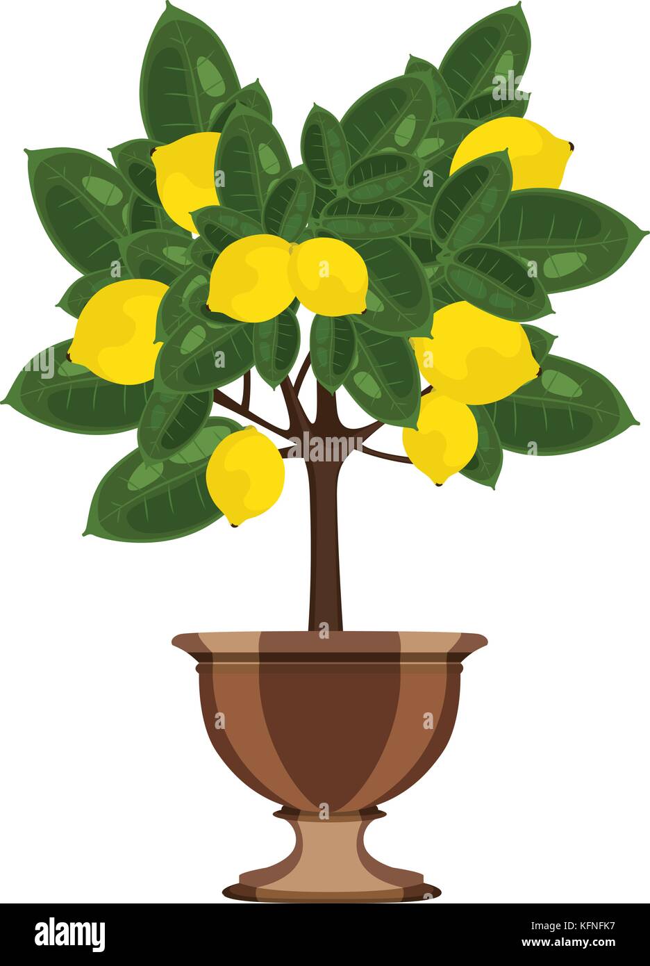 Lemon Tree in einem Blumentopf Vector Illustration Stock Vektor