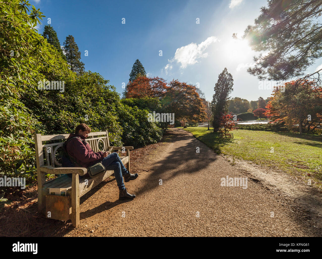 Frau auf einer Bank ausruhen, Sheffield Park Gardens. Stockfoto