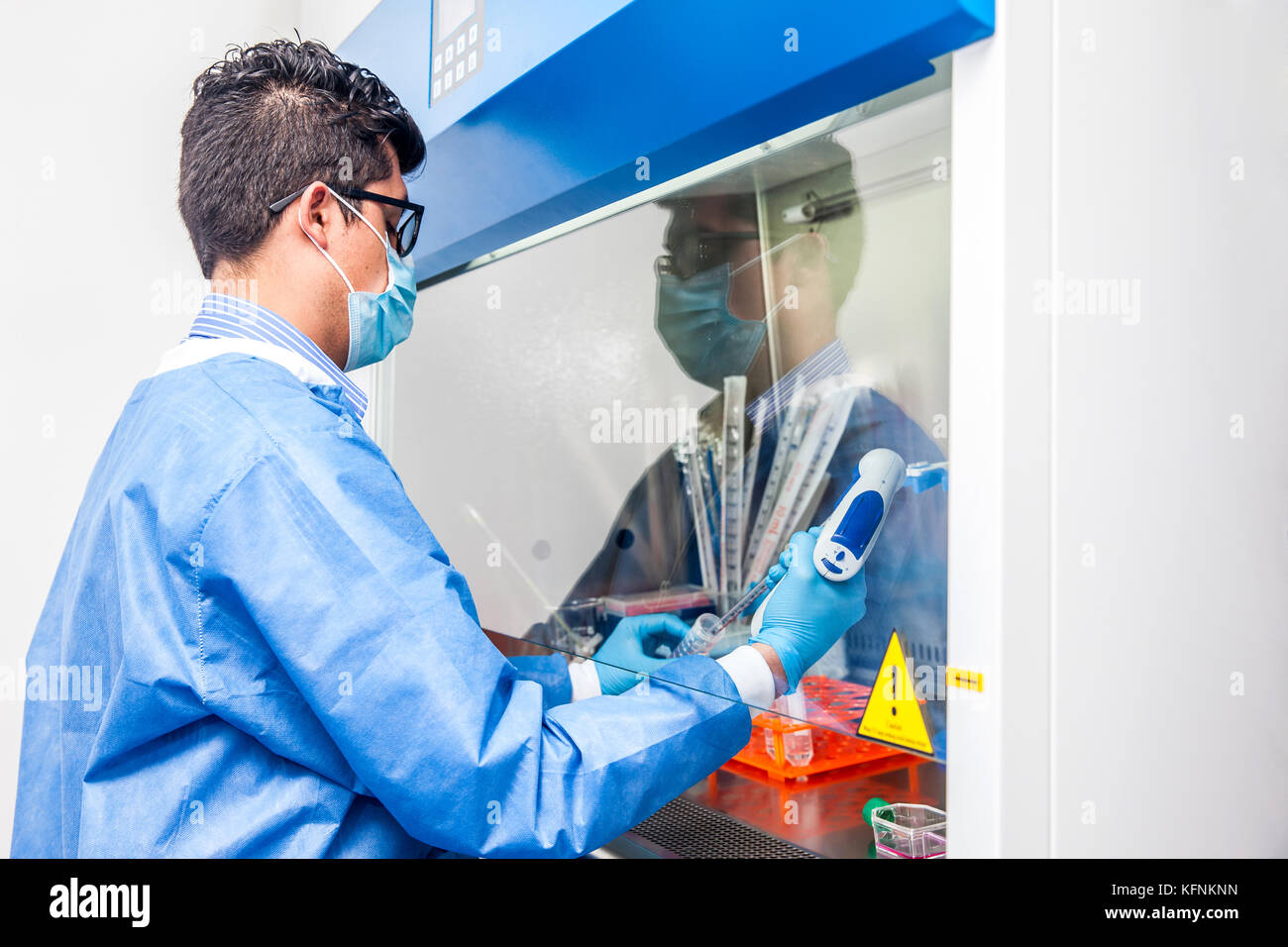 Junge Wissenschaftler in einer laminaren Strömung Kabinett im Labor arbeiten Stockfoto