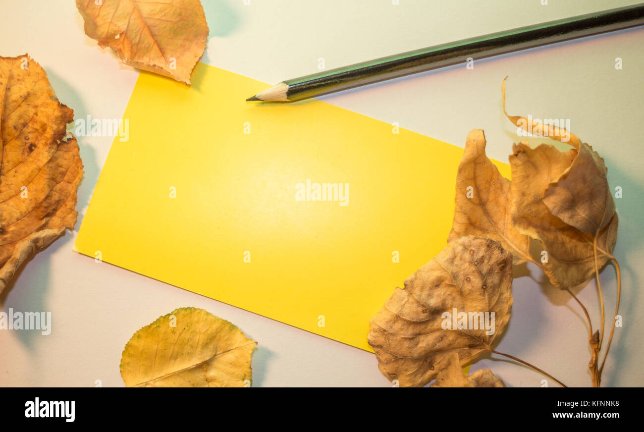 Einzelnen schwarzen Buntstift auf weißen Hintergrund und gelber Hinweis, Herbst Dekoration, Platz für Text Stockfoto