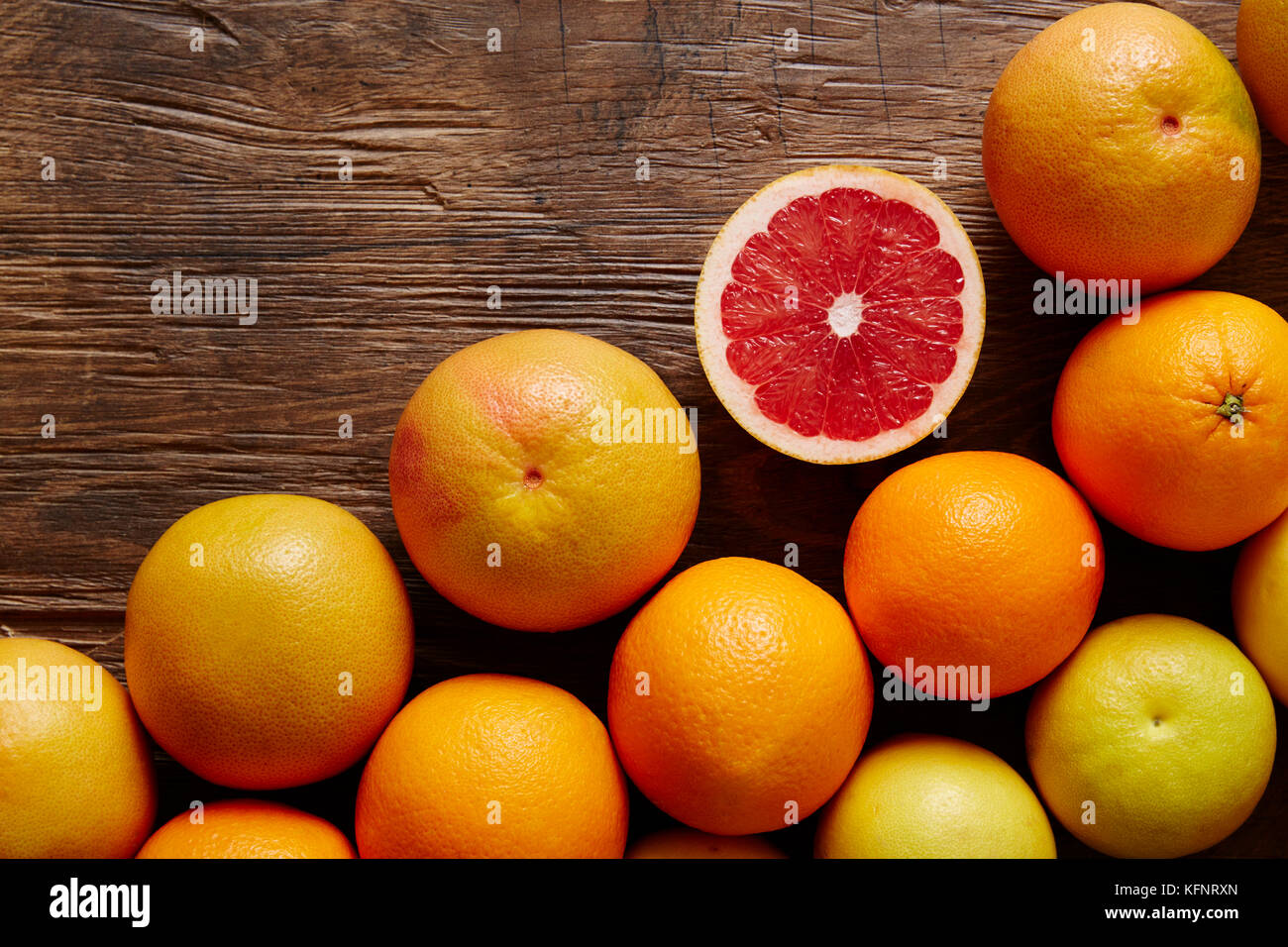 Aufgeschnittene Grapefruit in Grafik Bündel von Zitrusfrüchten 2 Stockfoto
