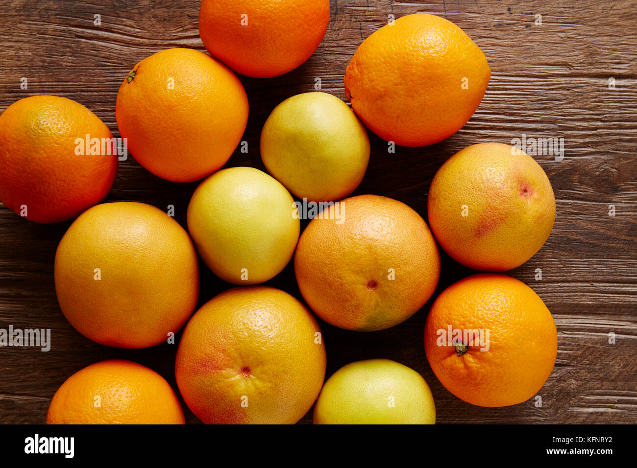 Orangen und grapfruits sweetys in einem Bündel von Zitrusfrüchten Stockfoto