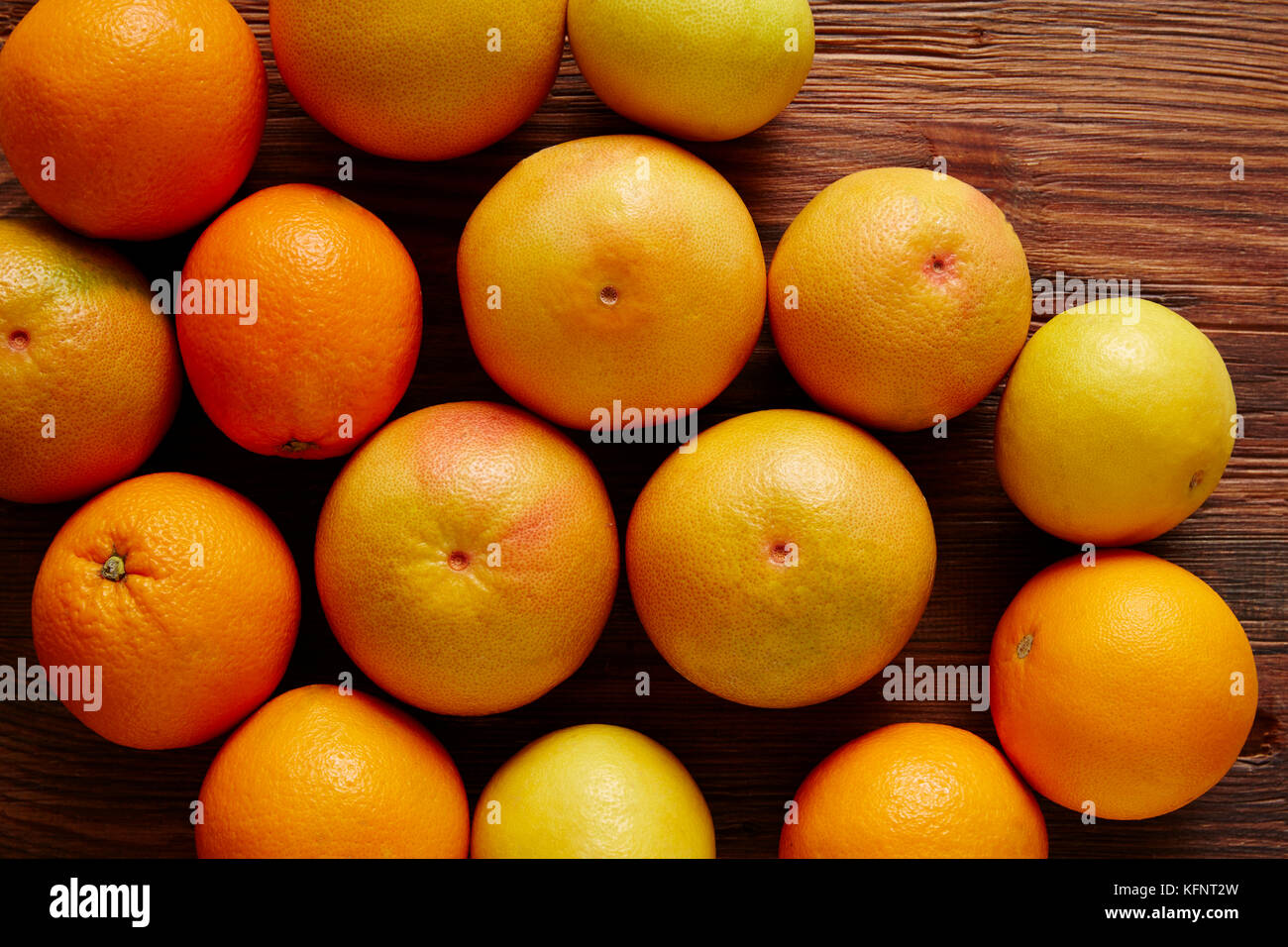 Ein Bündel von Zitrusfrüchten orange Grapefruit und verschwitzt Stockfoto