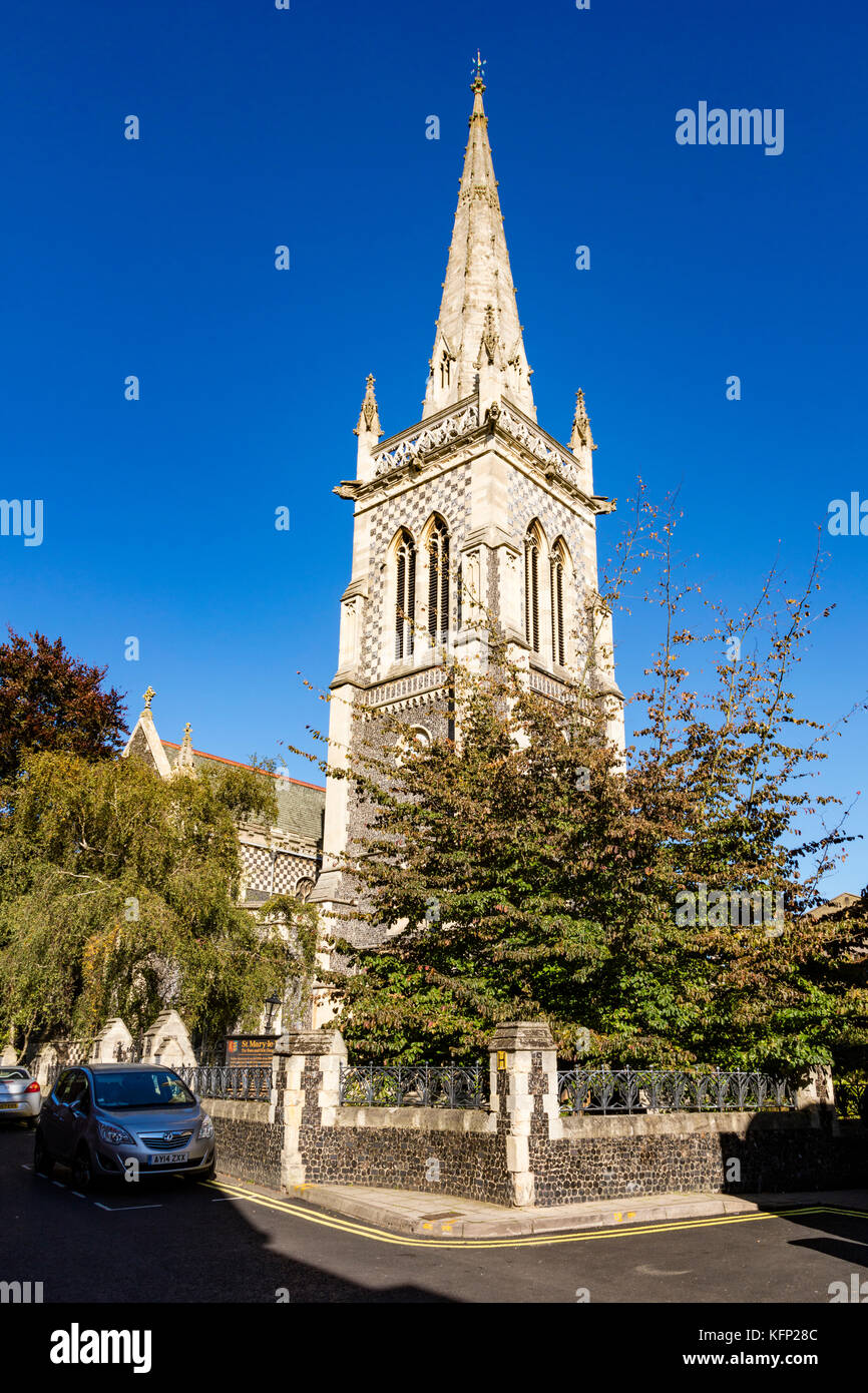 St. Mary le Turm Kirche mit einem tiefblauen Himmel und die Blätter an den Bäumen ab, herbstliche Farben, Ipswich, Suffolk, Großbritannien Stockfoto