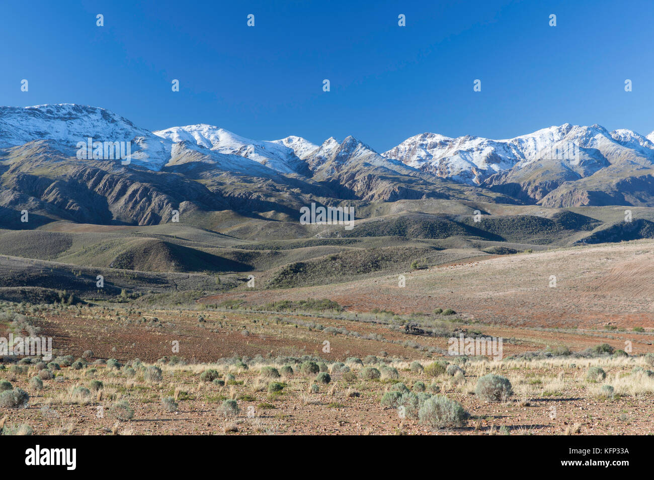 Swartberge, Oudtshoorn, Western Cape, Südafrika Stockfoto