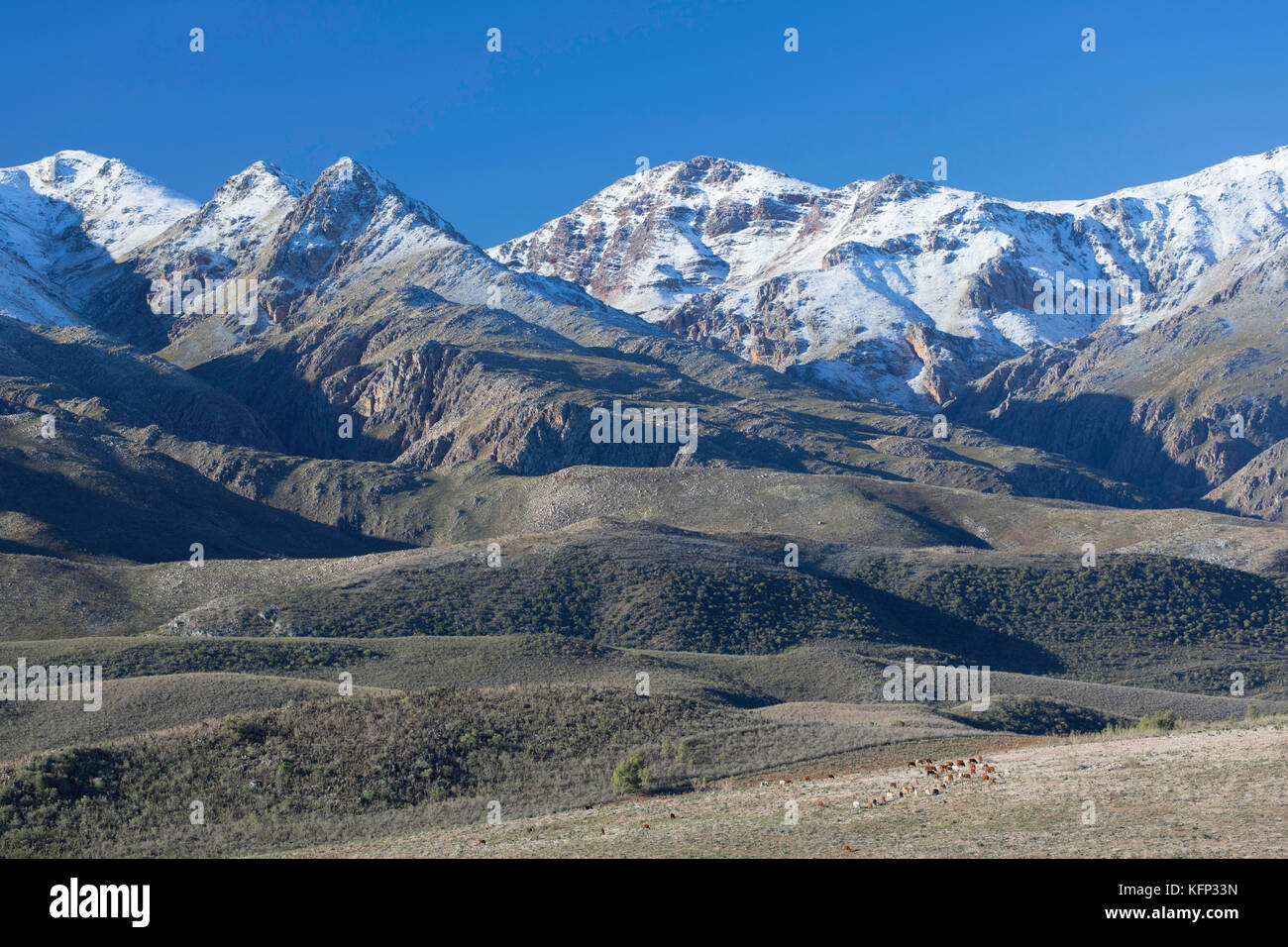 Swartberge, Oudtshoorn, Western Cape, Südafrika Stockfoto