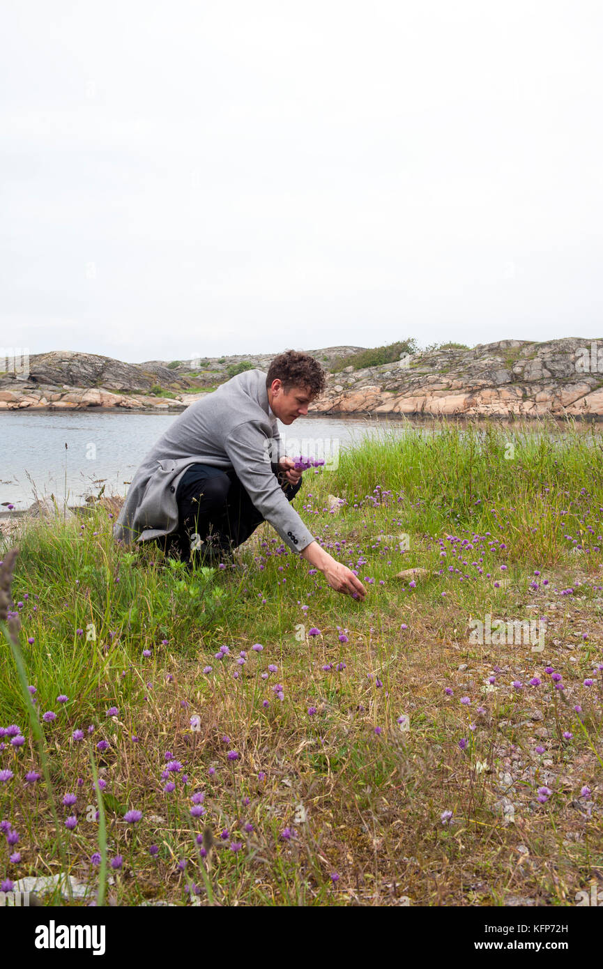 Thomas Sjögren, der Koch des Jahres 2015 in Schweden und Eigentümer Küchenchef des Skäret Krog in Smögen Suchen nach Nahrung auf Smögens Küste, West Schweden. Stockfoto