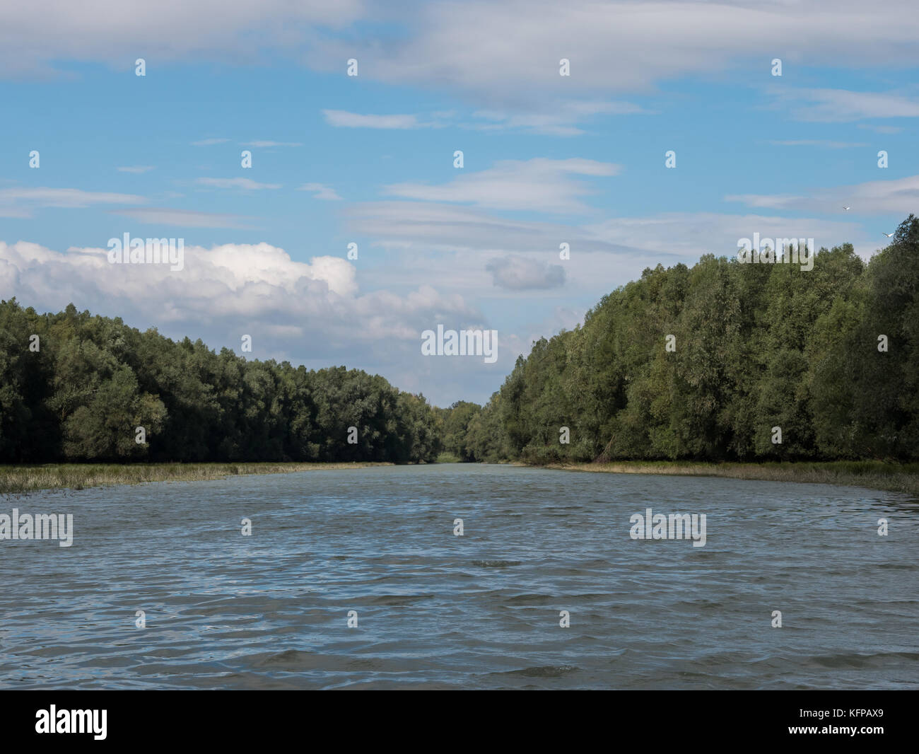 Binnenschifffahrt im Naturpark Kopacki Rit in Kroatien an einem sonnigen Tag Stockfoto