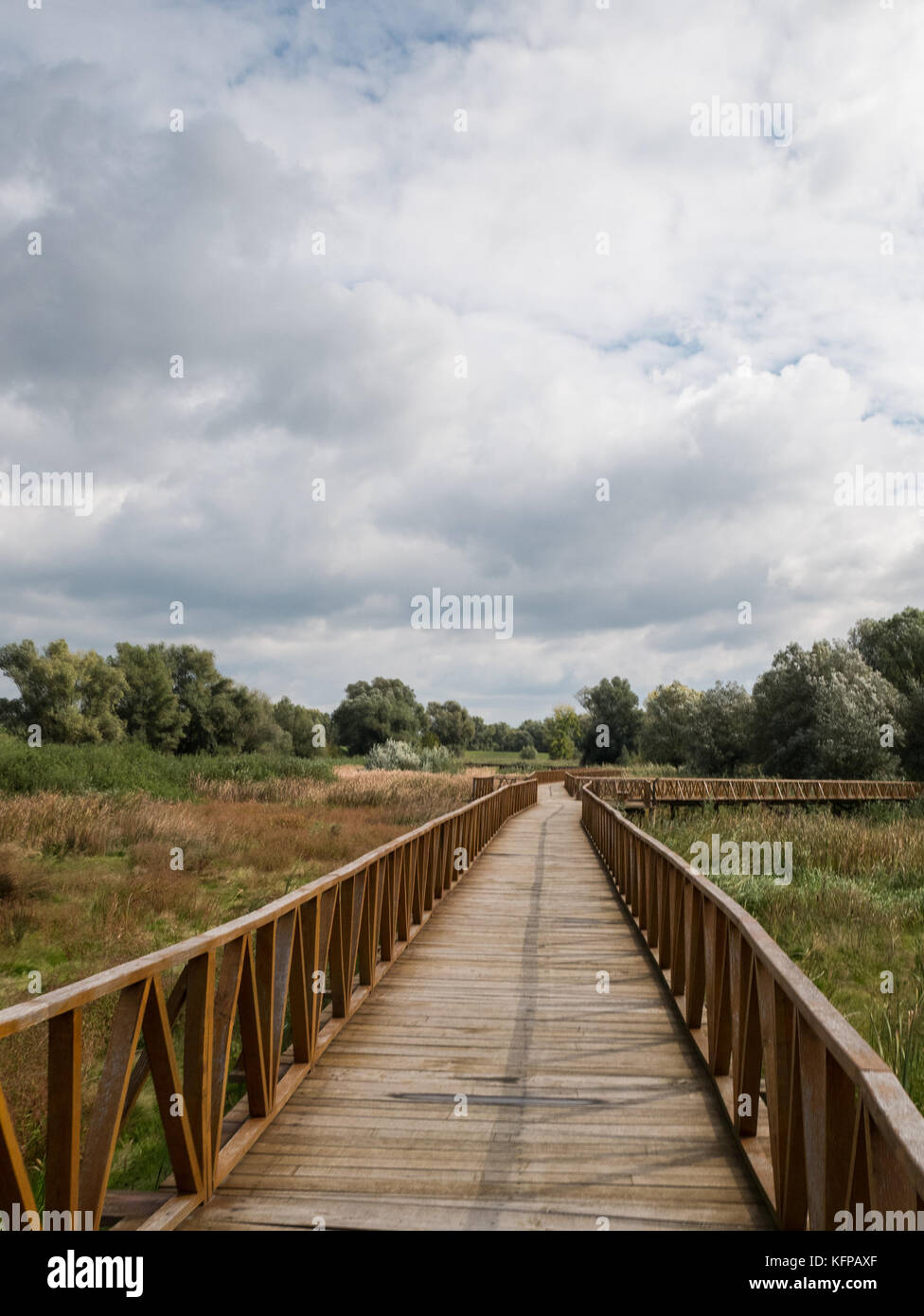 Neue holzbrücke im Naturpark Kopacki Rit in Kroatien Stockfoto