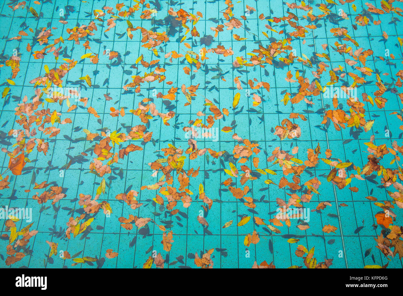 Öffentliches Schwimmbad, für die Saison geschlossen, im Herbst, Stockfoto