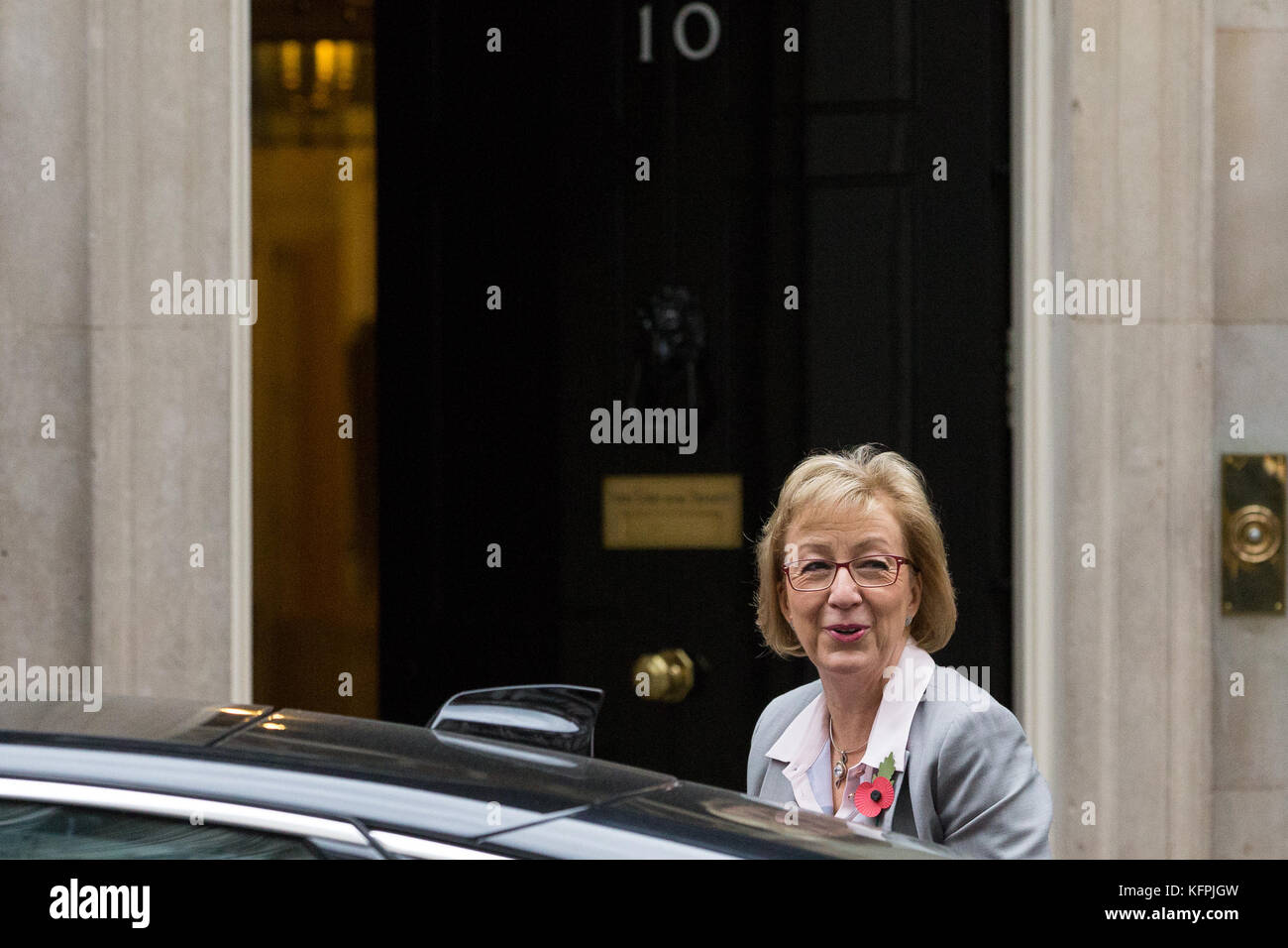 London, Großbritannien. 31 Okt, 2017. Andrea leadsom mp, Herr Präsident des Rates, und Führer des Unterhauses, kommt an 10 Downing Street für eine Kabinettssitzung. Credit: Mark kerrison/alamy leben Nachrichten Stockfoto