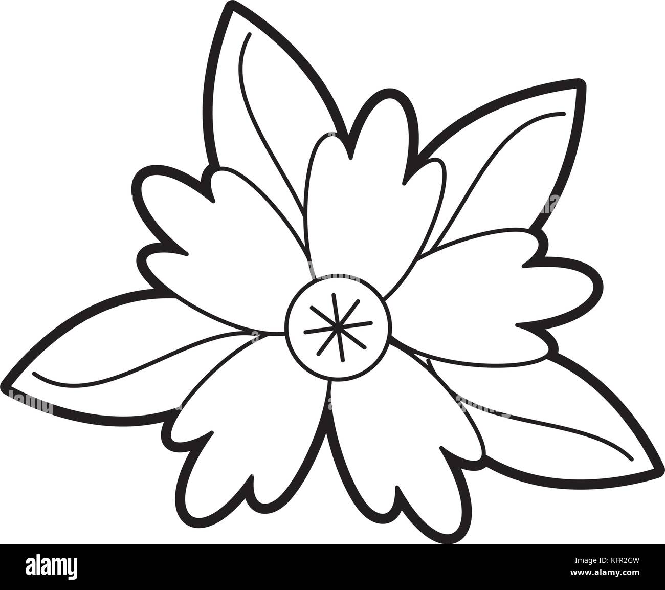 Crocus Blume Natur Blätter Laub ornament Stock Vektor