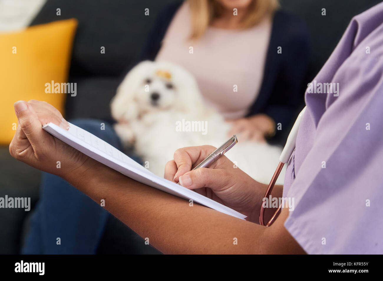 Tierarzt schreiben Gesundheit Hinweis für Hund Medizin Stockfoto