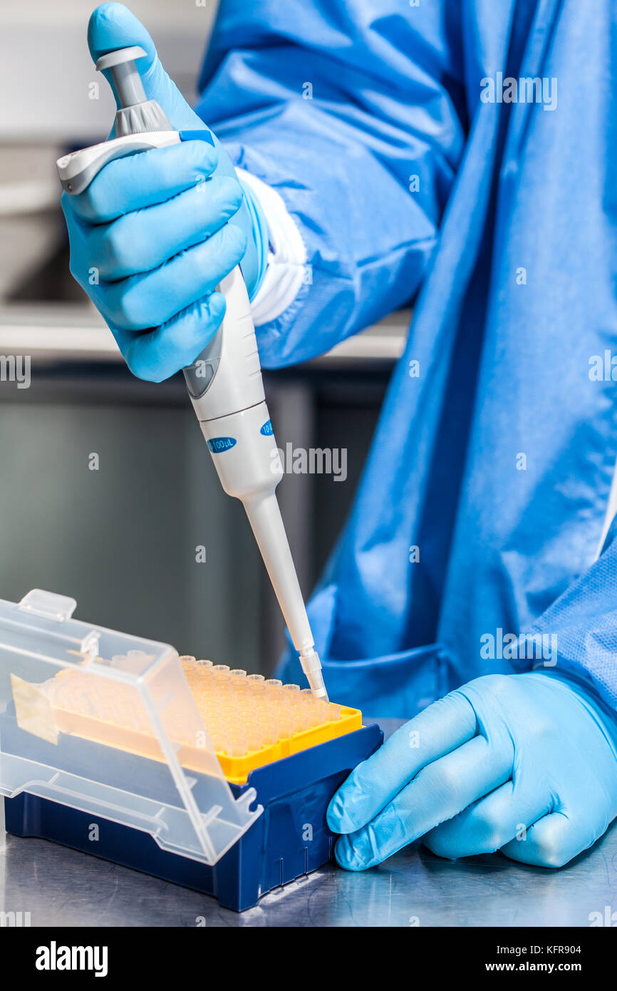 Wissenschaftler Anhängen einer Einweg Tipp zu einer Mikropipette Stockfoto