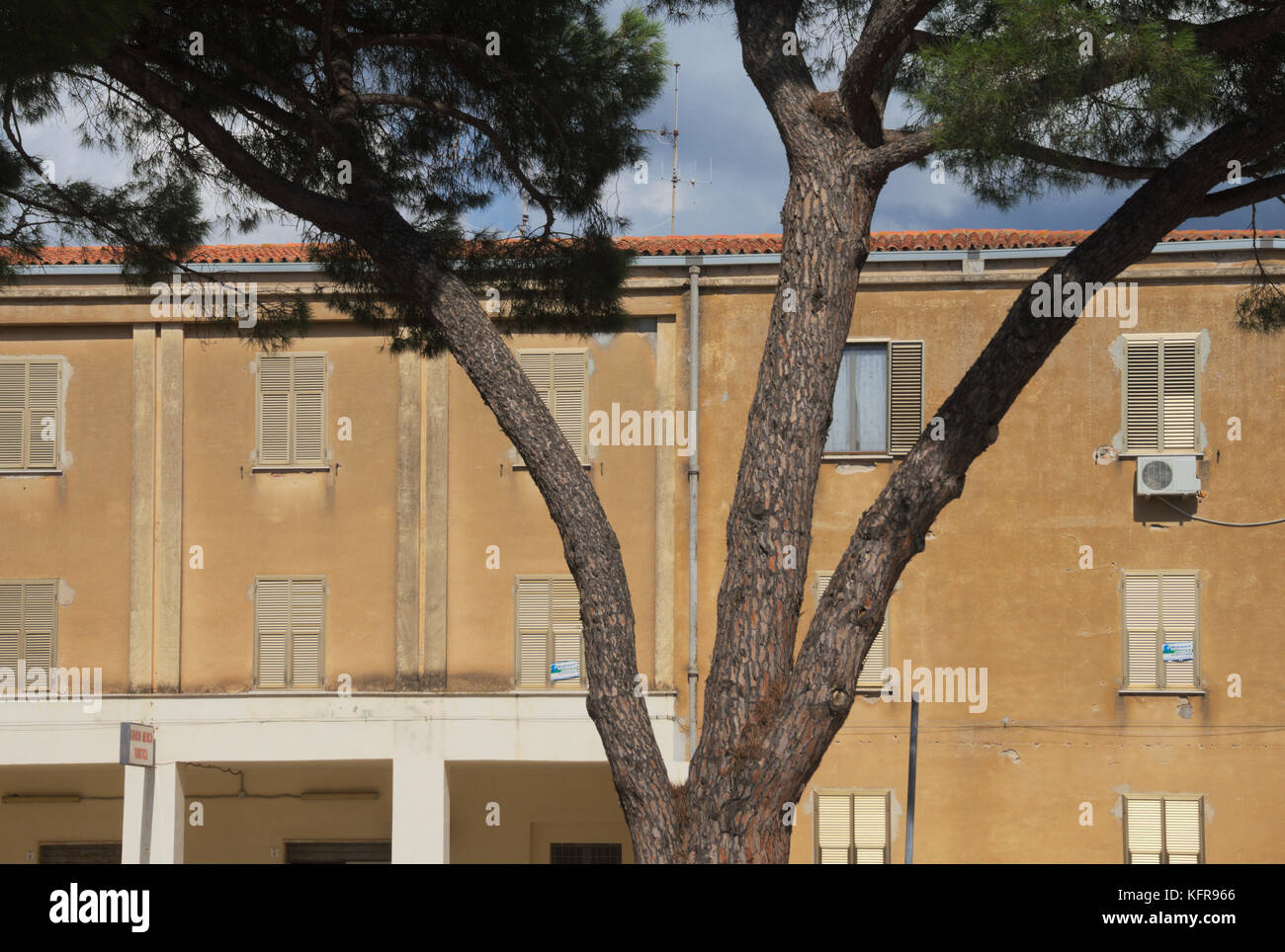 Altes Wohnhaus hinter einem mediterranen Piene in Fertilia, Sardinien, Italien Stockfoto
