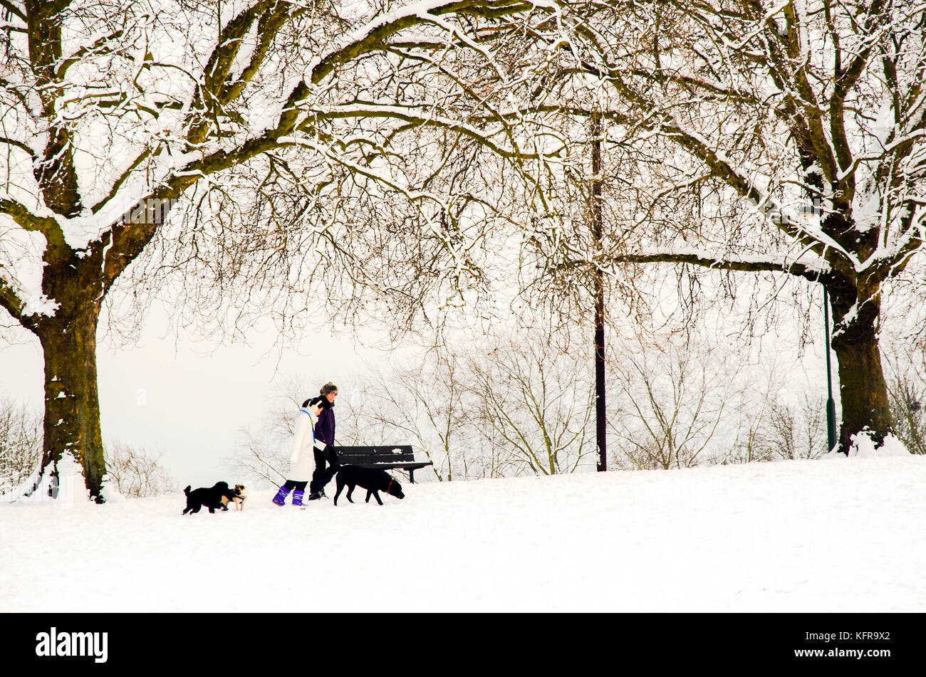 Verschneite Szene im Hilly Fields Park - London, England Stockfoto