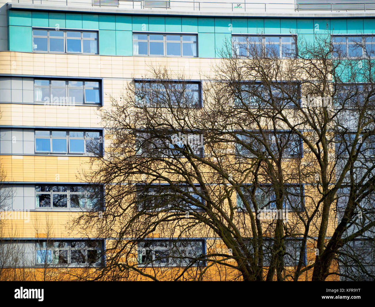 Detail des Riverside Building im University Hospital Lewisham - London, England Stockfoto