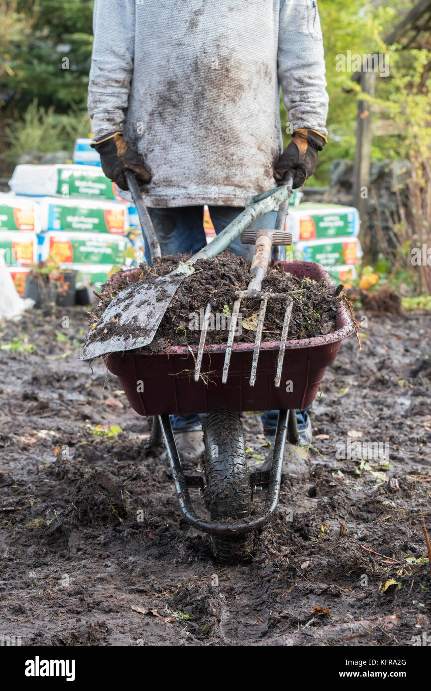 Gärtner drücken eine Schubkarre mit alten Holz chip Rinde nach dem Ausbau aus einem alten Gemüsegarten mit nassen schweren Boden. Scottsih Grenzen, Schottland Stockfoto