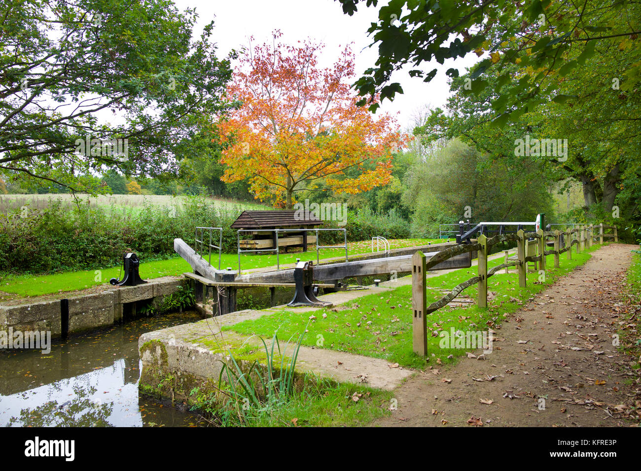 Wey und Arun Kanal, in der Nähe von Loxwood Stockfoto