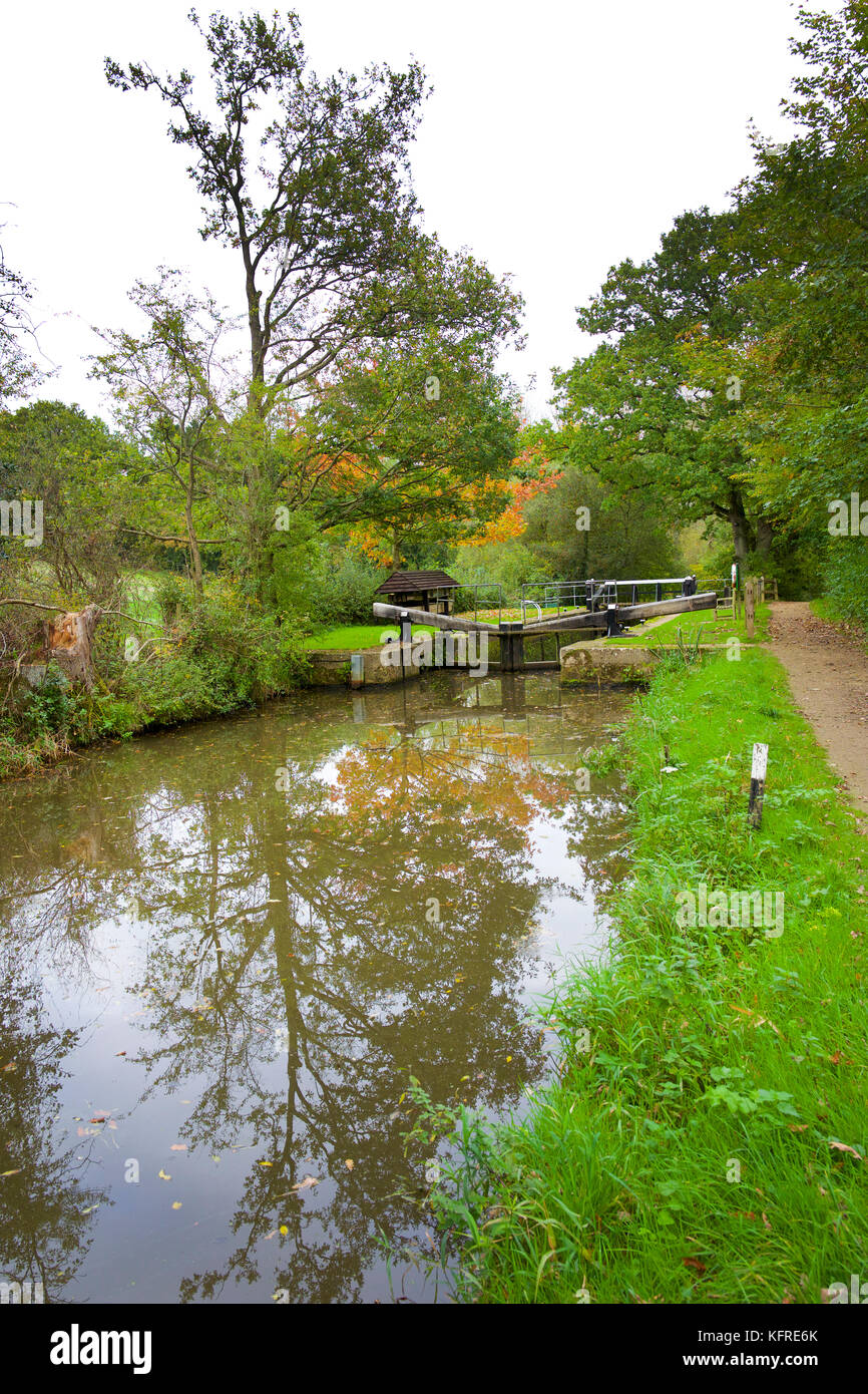 Wey und Arun Kanal, in der Nähe von Loxwood Stockfoto