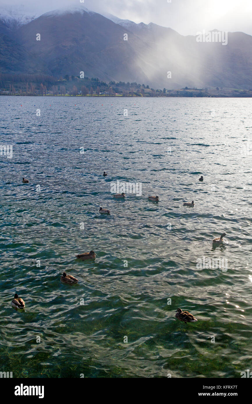 Lake Wanaka und roys Peak Stockfoto
