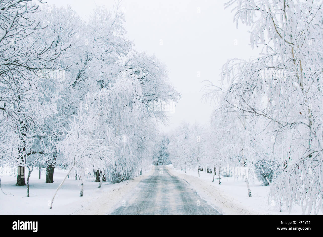 Der Weg in den verschneiten Winterwald, Dämmerung Stockfoto