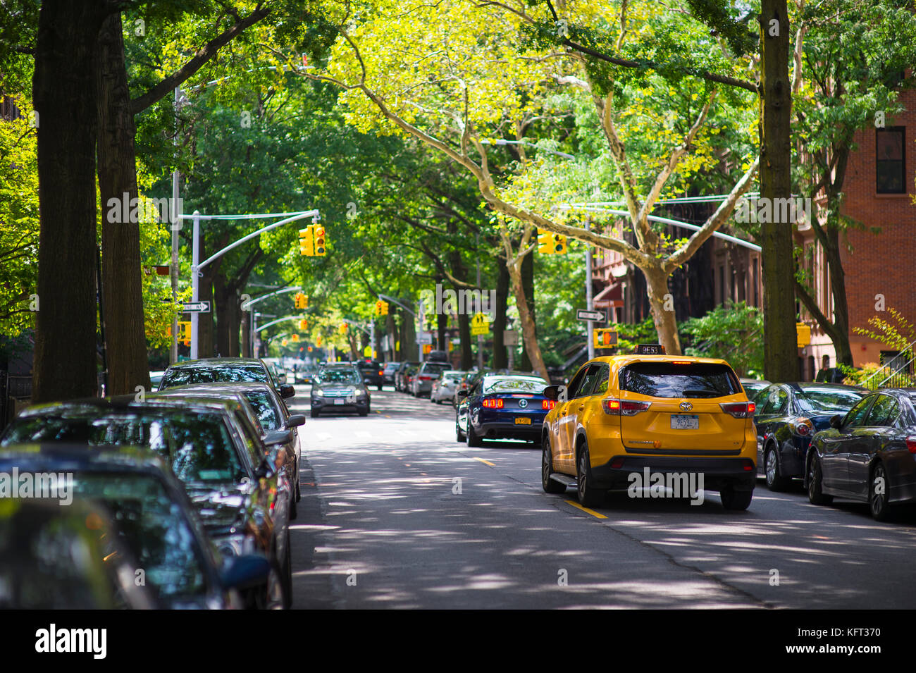New York City - 27. August 2017: ein New Yorker yellow cab Antriebe an einer baumbestandenen Straße in Park Slope, Brooklyn. Stockfoto