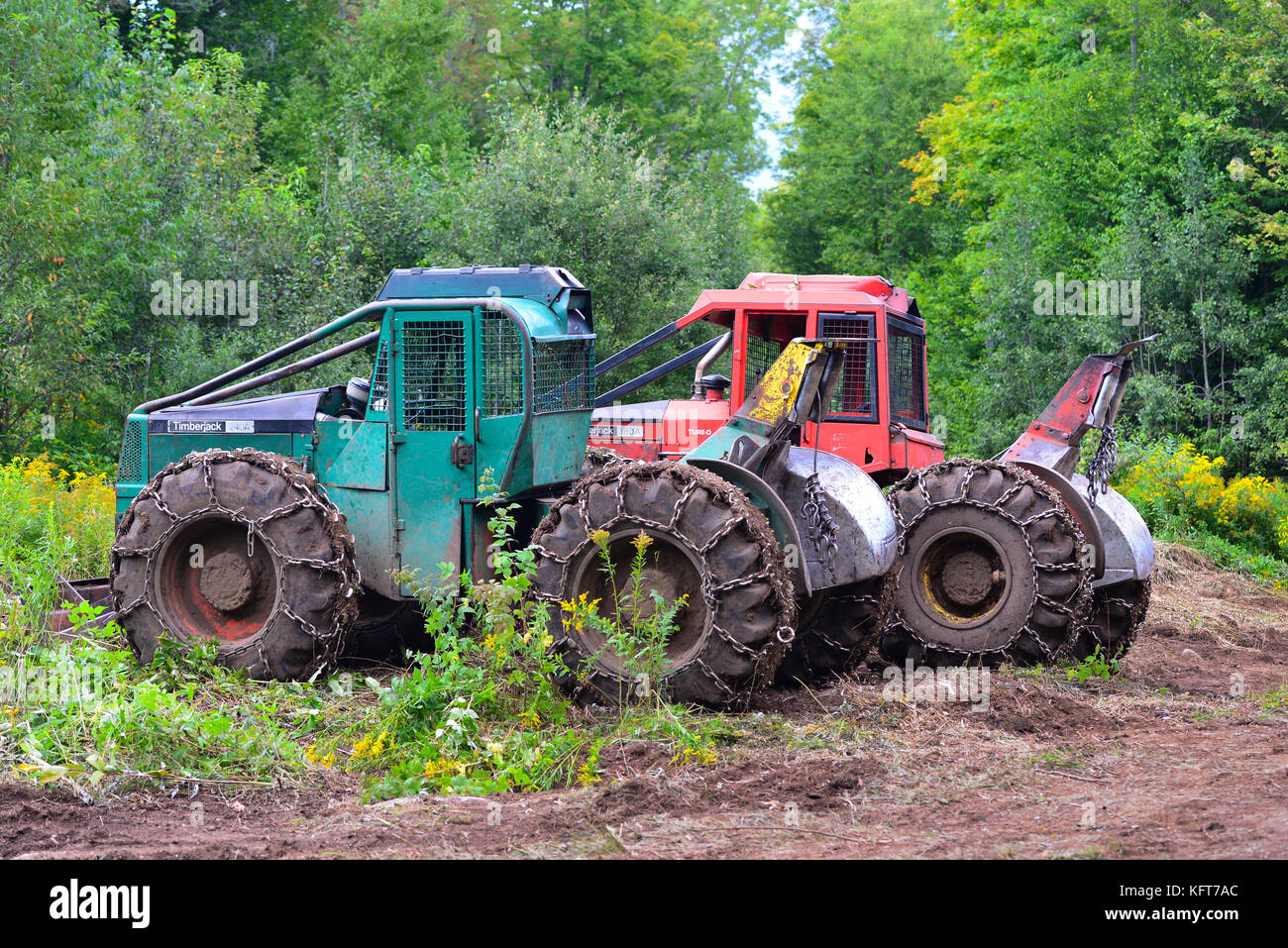 Zwei Timberjack skidder Protokollierung auf einem schlammigen Landung in den Adirondack Mountains, NY, USA Wald anmelden geparkt. Stockfoto