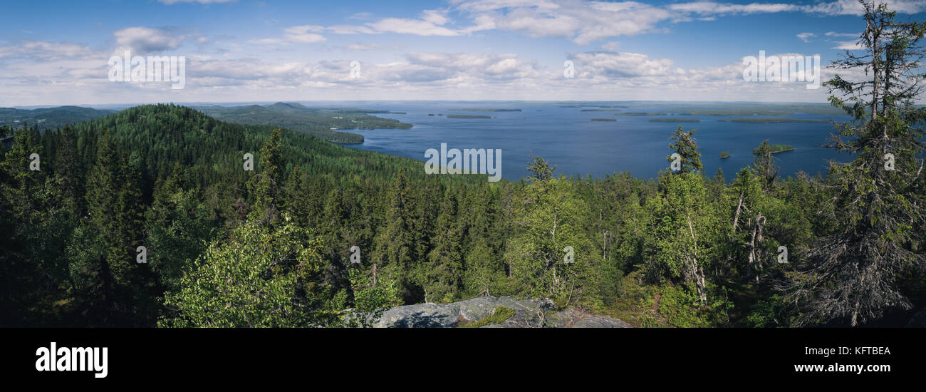 Panorama Blick von ukko-koli über den See Pielinen im Koli Nationalpark in Finnland gesehen Stockfoto