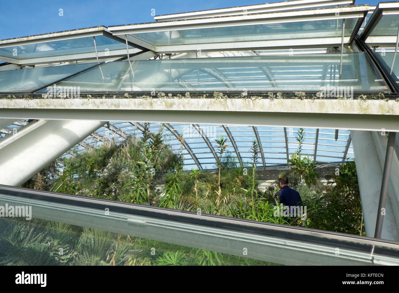 National Botanic Garden of Wales, Llanarthney, Carmarthenshire, Wales