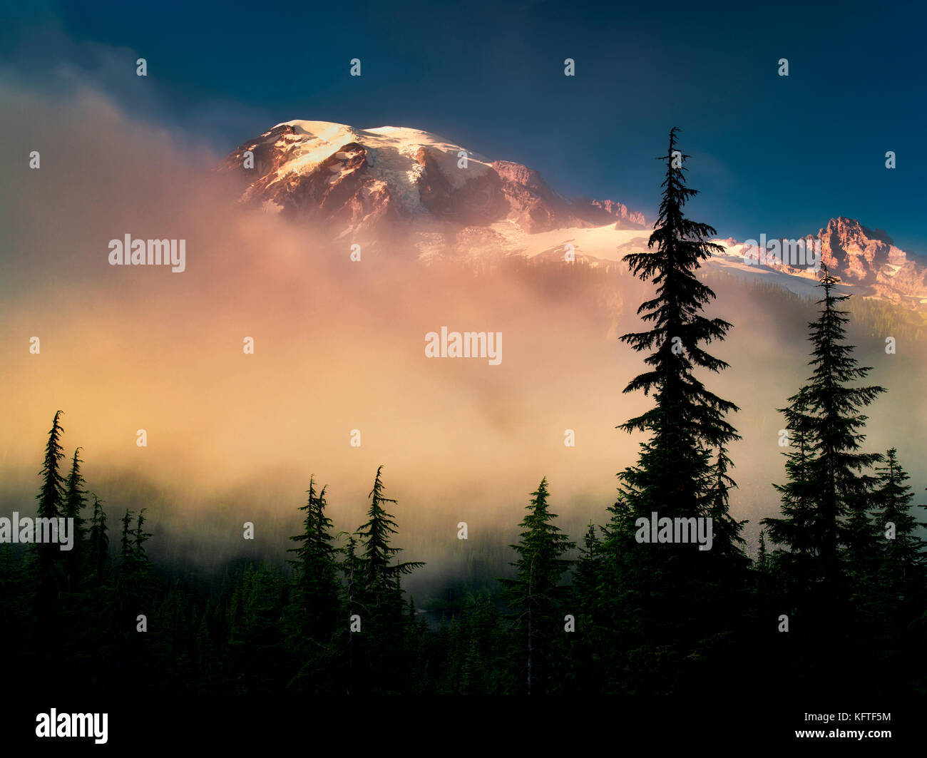 Nebel Bäume und Mt. rainier. mt. Rainier National Park, Washington Stockfoto