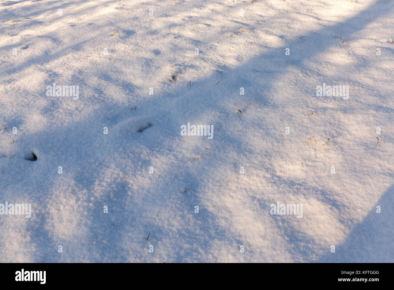 Schatten im Schnee Stockfoto