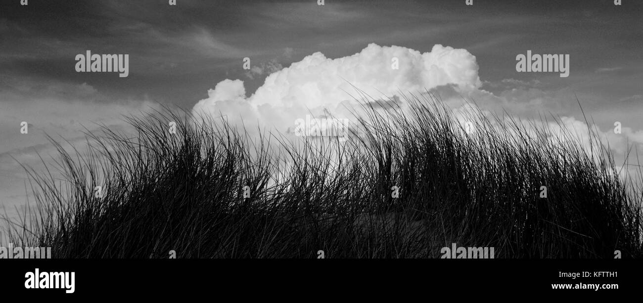 Zusammenfassung der Wolken wieder dune Gräser schossen in formby Dünen Stockfoto