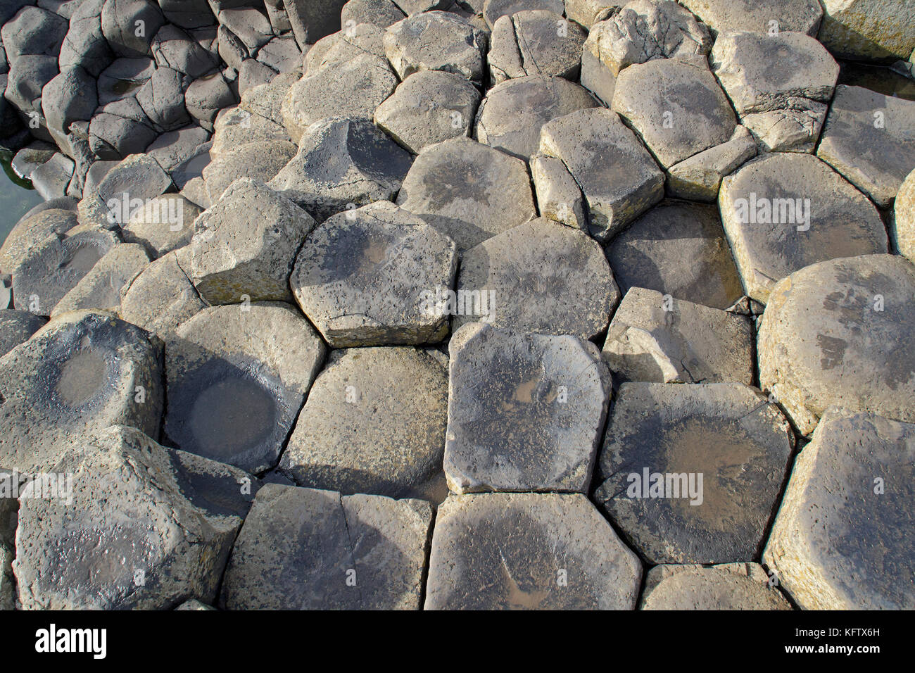 Basaltsäulen, Giants Causeway, Bushmills, Co Antrim, Nordirland Stockfoto