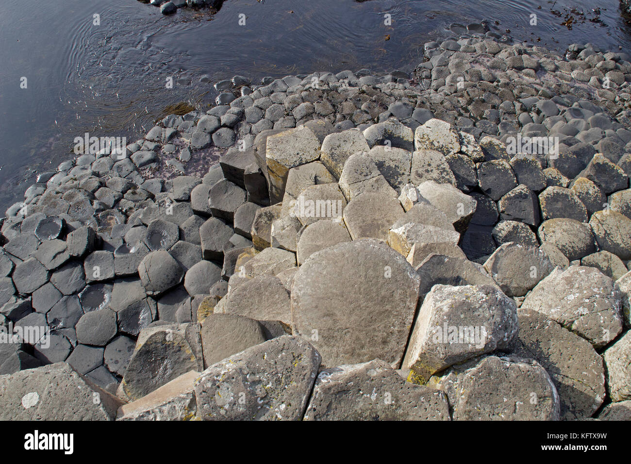 Basaltsäulen, Giants Causeway, Bushmills, Co Antrim, Nordirland Stockfoto