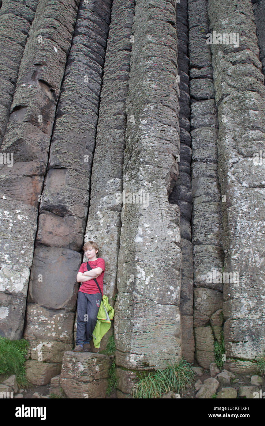 Orgelpfeifen, Giants Causeway, Bushmills, Co Antrim, Nordirland Stockfoto