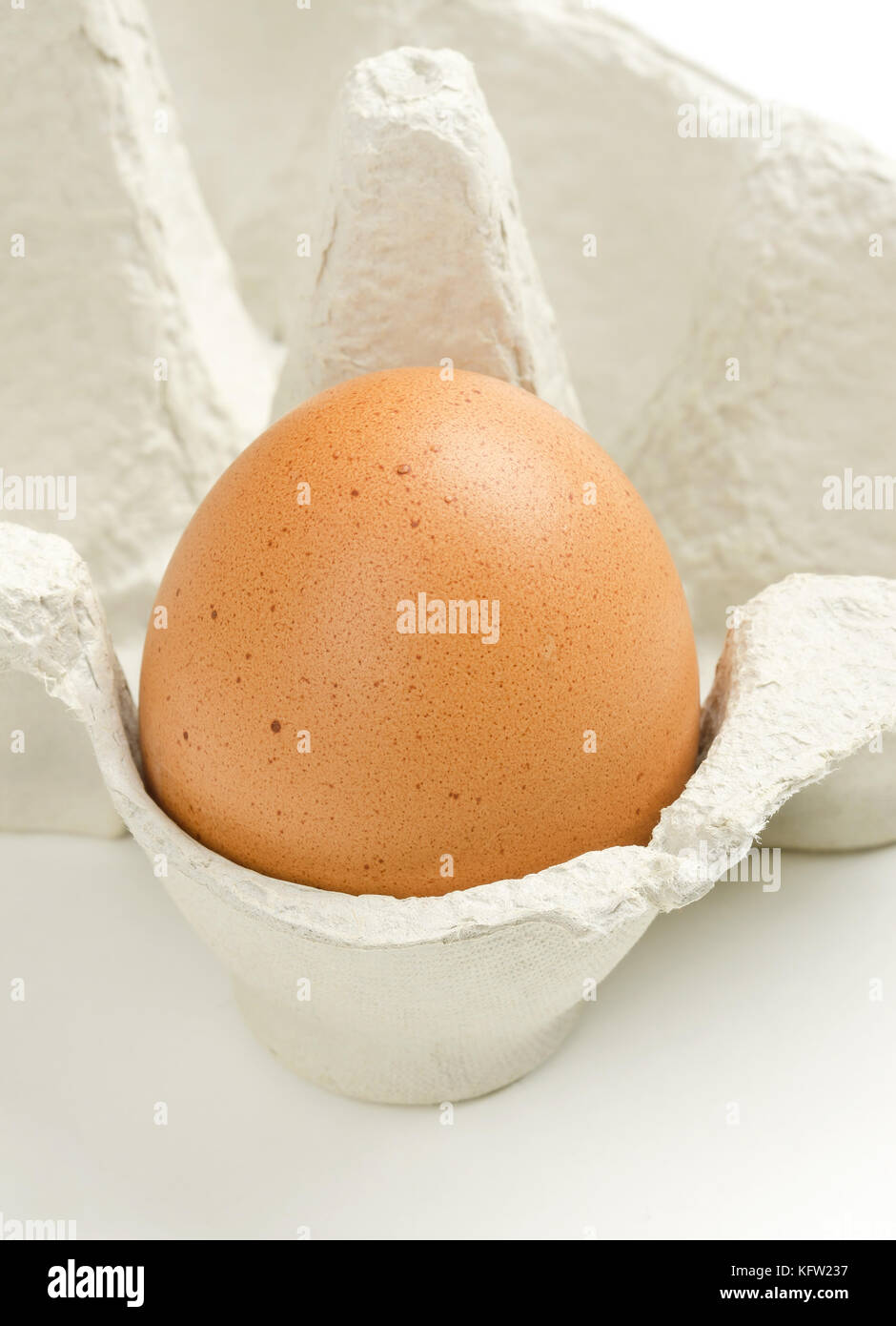 Single Hühnerei in Grau ei Karton. raw leicht gesprenkelt braun Hühnerei in Recyclingpapier ei Box. gemeinsamen Essen und vielseitige Zutat. Stockfoto