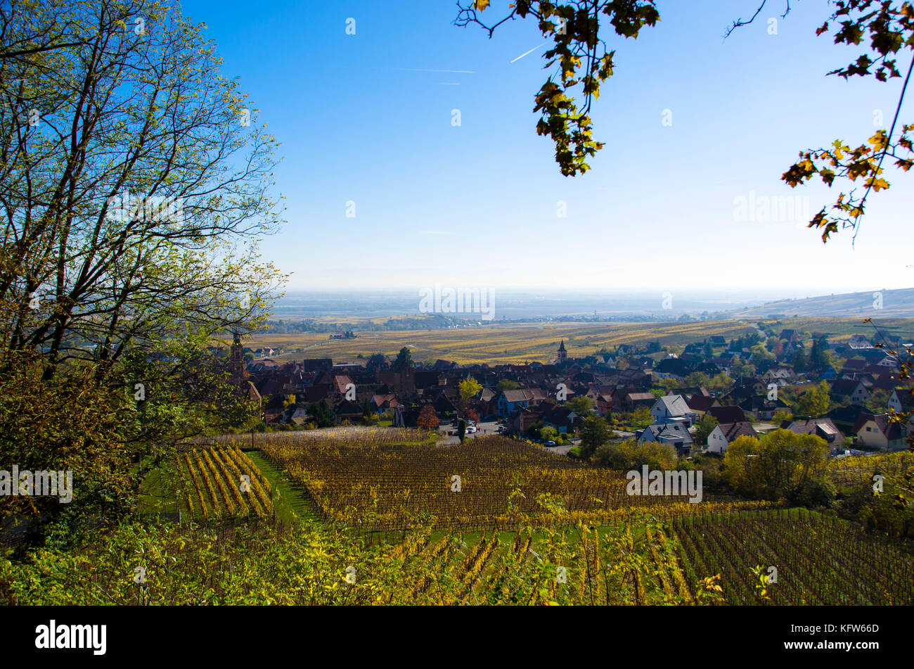 Blick auf das Dorf Riquewihr im Elsass Stockfoto