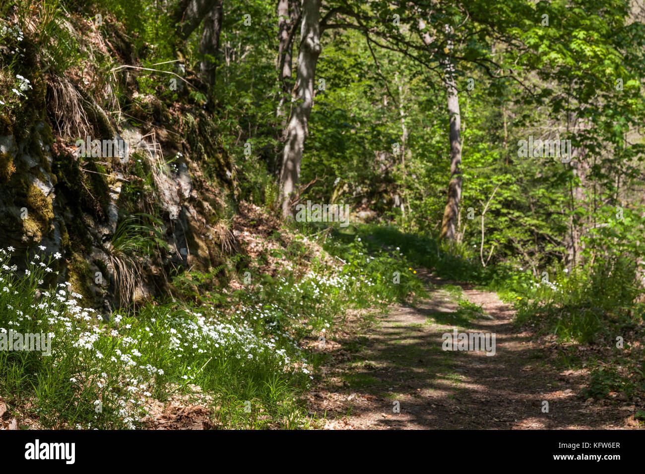 Fernwanderweg Selketal-Stieg Harz Stockfoto