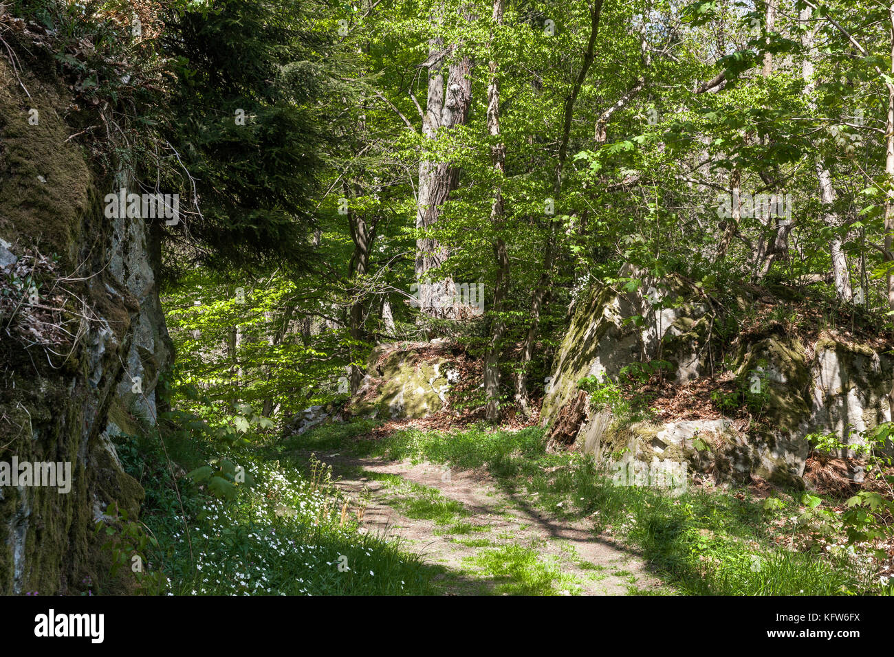 Fernwanderweg Selketal-Stieg Harz Stockfoto